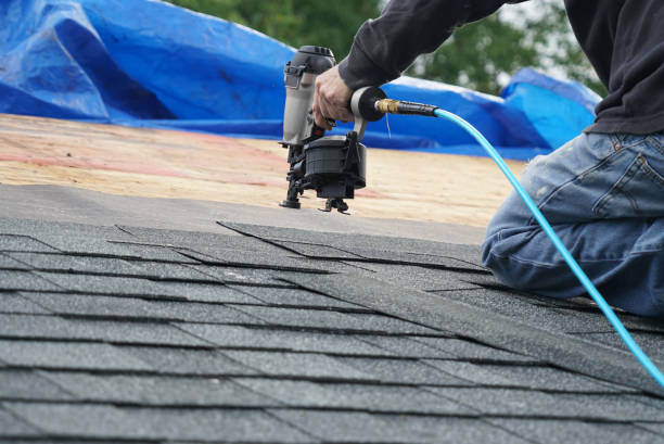 Roof Moss and Algae Removal in Highland Heights, KY